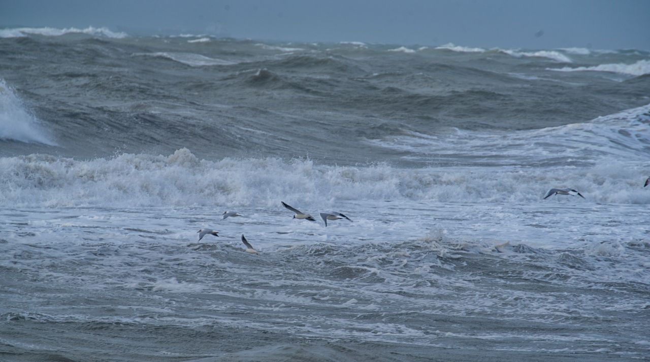 Dimmi che vento spira e saprai che mare avrai